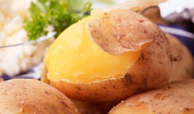 Как правильно сварить картофель в мундире, чтобы кожура сама отстала от овоща: лайфхаки наших бабушек