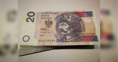 Украинцы в Польше получат от 9 до 68 тысяч гривен: кто может претендовать на выплату и как ее оформить