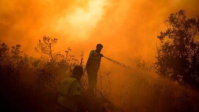 Жертвы и разрушения в Средиземноморье из-за пожаров