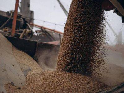 Румыния планирует увеличить транзит украинского зерна