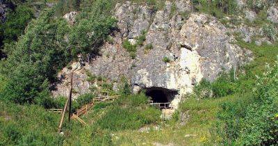 Загадка Денисовой пещеры. В Сибири возле пещеры с древними людьми жили зеброподобные лошади