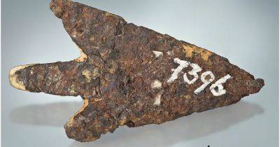 Артефакт бронзового века: острие стрелы из метеоритного железа нашли в Швейцарии (фото)
