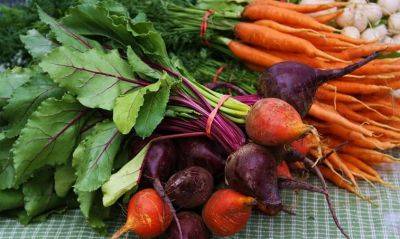 Не выбрасывайте ботву от моркови и буряка: как ее можно использовать с пользой