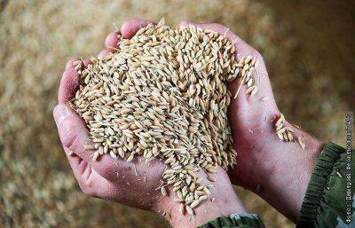 Россия продлила запрет на экспорт риса до конца 2023 года