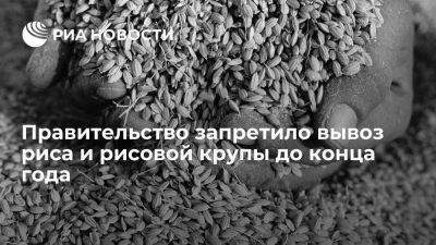 Правительство запретило вывоз риса и рисовой крупы до 31 декабря