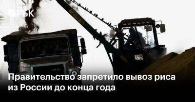 Правительство запретило вывоз риса из России до конца года