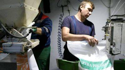 Правительство РФ ввело временный запрет на вывоз риса