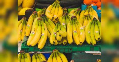 Бананы гниют слишком быстро: как сохранить фрукты свежими с помощью простого трюка