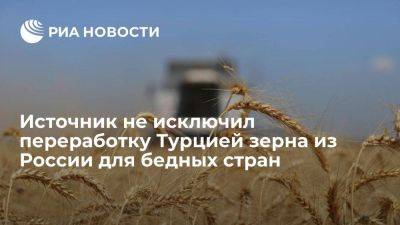 Идея Турции о переработке российского зерна для нуждающихся стран может быть реализована