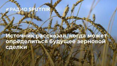 Источник: Россия и ООН в ближайшие дни планируют провести переговоры по зерновой сделке