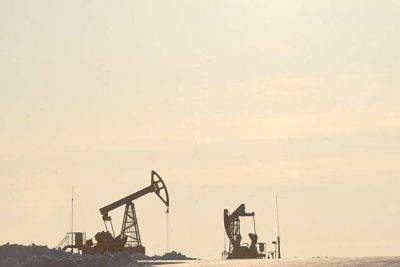 Аналитик объяснил, что сокращение поставок нефти из России окажет ограниченную поддержку ценам