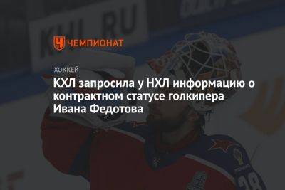 КХЛ запросила у НХЛ информацию о контрактном статусе голкипера Ивана Федотова