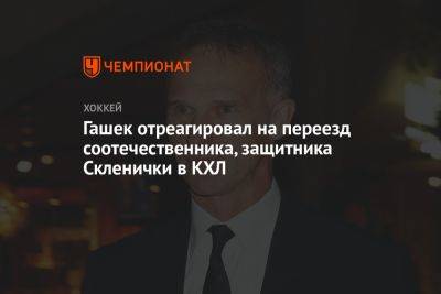 Гашек отреагировал на переезд соотечественника, защитника Скленички в КХЛ