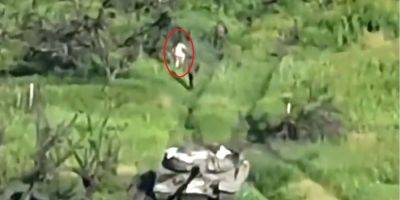Российский танкист устроил стриптиз прямо на поле боя — видео