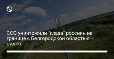 ССО уничтожили "глаза" россиян на границе с Белгородской областью – видео