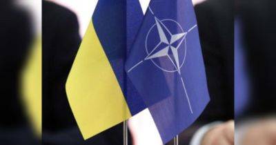 Карбер призвал гарантировать Украине членство в НАТО и принять новую стратегию военной помощи