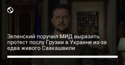 Зеленский поручил МИД выразить протест послу Грузии в Украине из-за едва живого Саакашвили