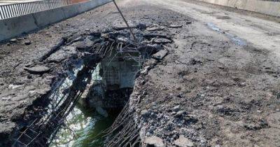 Гуменюк рассказала о последствиях повреждения Чонгарского моста