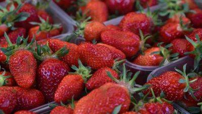 Какие наши ягоды: в магазины поступила клубника из Херсонской и Запорожской областей