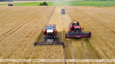 В Беларуси намолотили более 2 млн тонн зерна с учетом рапса