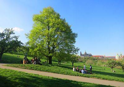 Узнать историю памятных деревьев Праги поможет онлайн-путеводитель