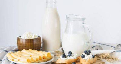 IFCN: 5 ключевых тенденций мирового молочного рынка в 2023 году