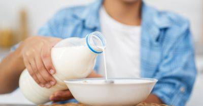 Виновато молоко: что произойдет с организмом, если пить его каждый день - focus.ua - Украина