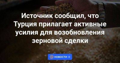 Источник сообщил, что Турция прилагает активные усилия для возобновления зерновой сделки