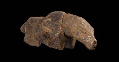 Не совсем лошадь: ученые спорят, кого изображает самый древний артефакт из слоновой кости (фото)