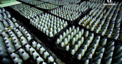 Украинские заводы ежемесячно производят десятки тысяч снарядов, — СМИ
