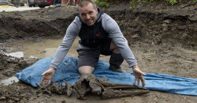 "Находка всей жизни": мужчина, копая бассейн, нашел кости дельфина возрастом 8000 лет (фото)