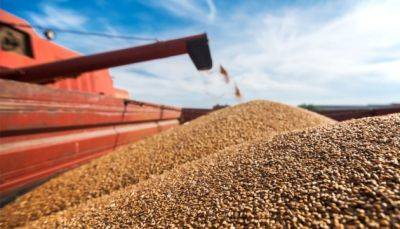 Украина и Хорватия договорились об экспорте украинского зерна, - Кулеба