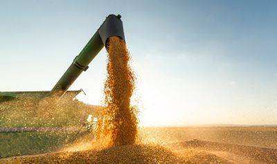 Экспорт зерна из Украины - достигнута договоренность с Хорватией