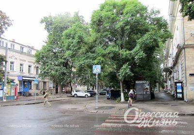 Погода в Одессе и Одесской области в начале августа: немного спадет жара