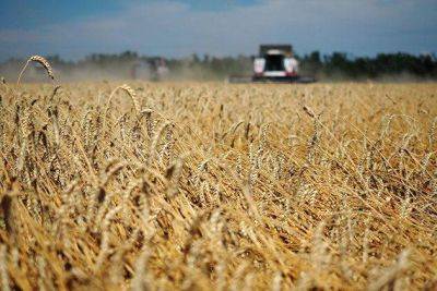 Цена пшеницы в США упала ниже уровня даты остановки зерновой сделки, до 6,66 доллара за бушель