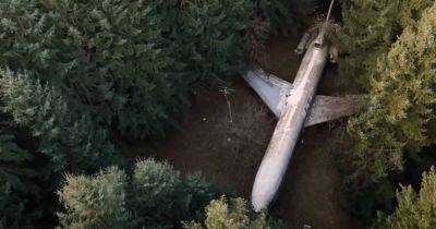 Купил на свалке: мужчина живет в заброшенном самолете посреди леса (видео, фото)