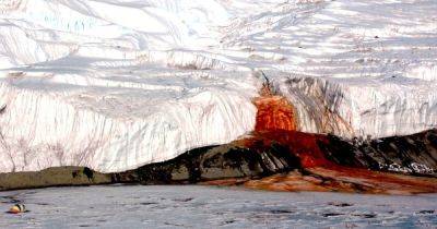 Тайна Кровавого водопада в Антарктиде: ученые наконец-то поняли, почему ледник "истекает кровью"