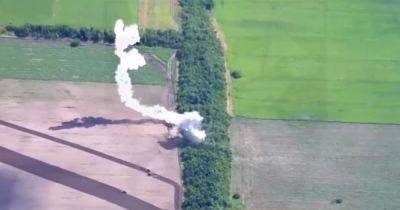 Украинские бойцы уничтожили спрятанные в лесополосе вражеские ЗРК "Тор" и ТЗМ 9Т244 (видео)