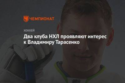 Два клуба НХЛ проявляют интерес к Владимиру Тарасенко