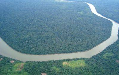 Ди Каприо и Безос пожертвовали $200 миллионов в защиту лесов Амазонки