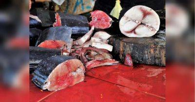 На киевских ярмарках до конца июля запретили торговлю мясом и рыбой