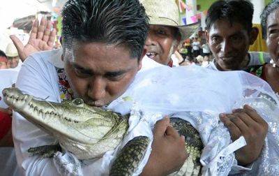 Мэр мексиканского города женился на крокодилихе - korrespondent.net - Украина - Мексика - Зимбабве - Брак