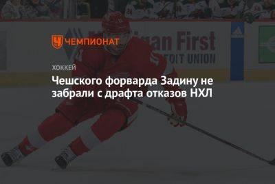 Чешского форварда Задину не забрали с драфта отказов НХЛ