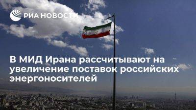 МИД Ирана надеется на увеличение поставок энергоносителей из России после вступления в ШОС