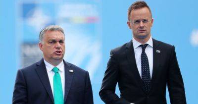 Будапештский гамбит. Почему Орбан вредит Украине и как дальше уживаться с Венгрией в ЕС