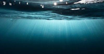 Мировой океан закипает. Как рекордные температуры отобразятся на повседневной жизни человечества