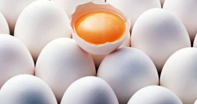 Rabobank: высокие цены встряхнули мировые цепочки поставок яиц