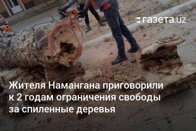 Жителя Намангана приговорили к 2 годам ограничения свободы за уничтожение деревьев