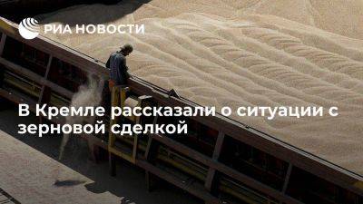 Песков сообщил, что Россия своевременно обнародует свое решение по зерновой сделке
