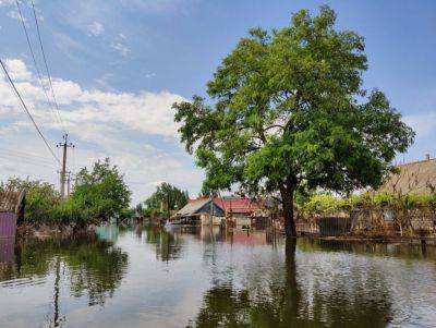 "Из-за наводнения погибли сотни людей": В сети появилась информация о ситуации на левобережной части Херсонской области